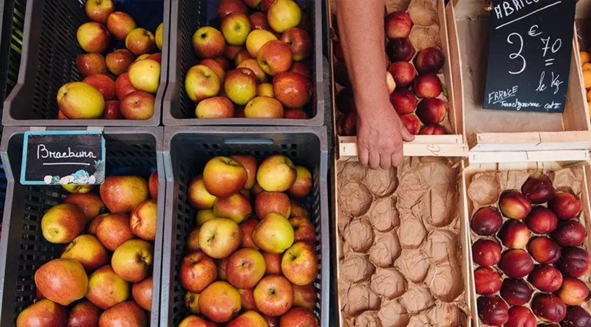 Les marchés de Marseillan, une main tendue sur un étalage de fruits d'un stand