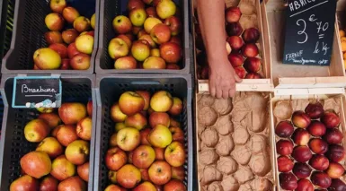 Les marchés de Marseillan, une main tendue sur un étalage de fruits d'un stand