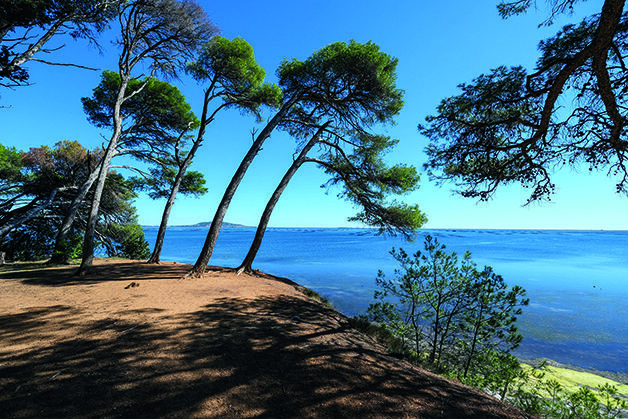 schéma de cohérence territoriale, vue de Belle vue