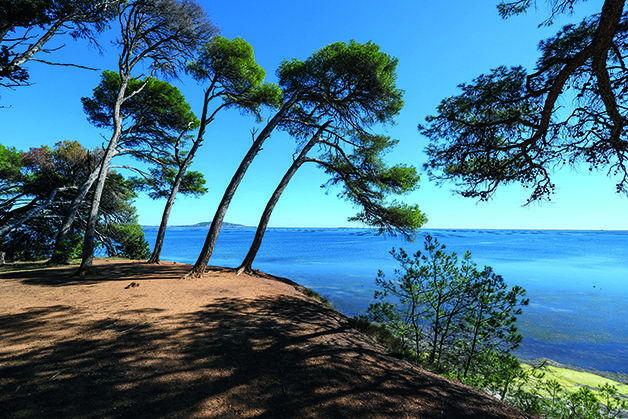 schéma de cohérence territoriale, vue de Belle vue