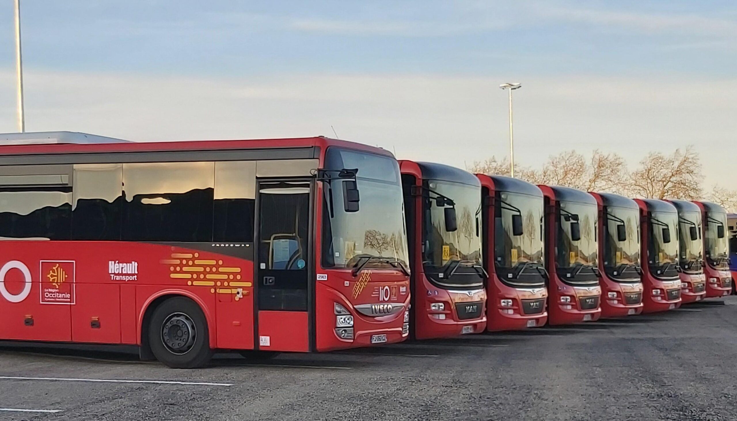 Transport scolaire Hérault Transport bus