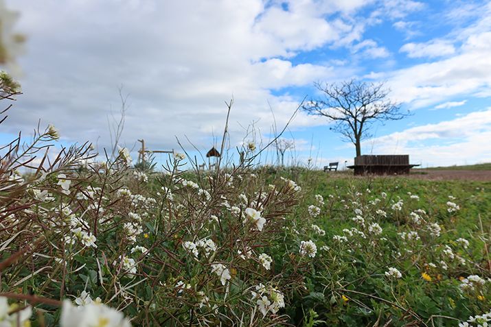 adena parc du boudas