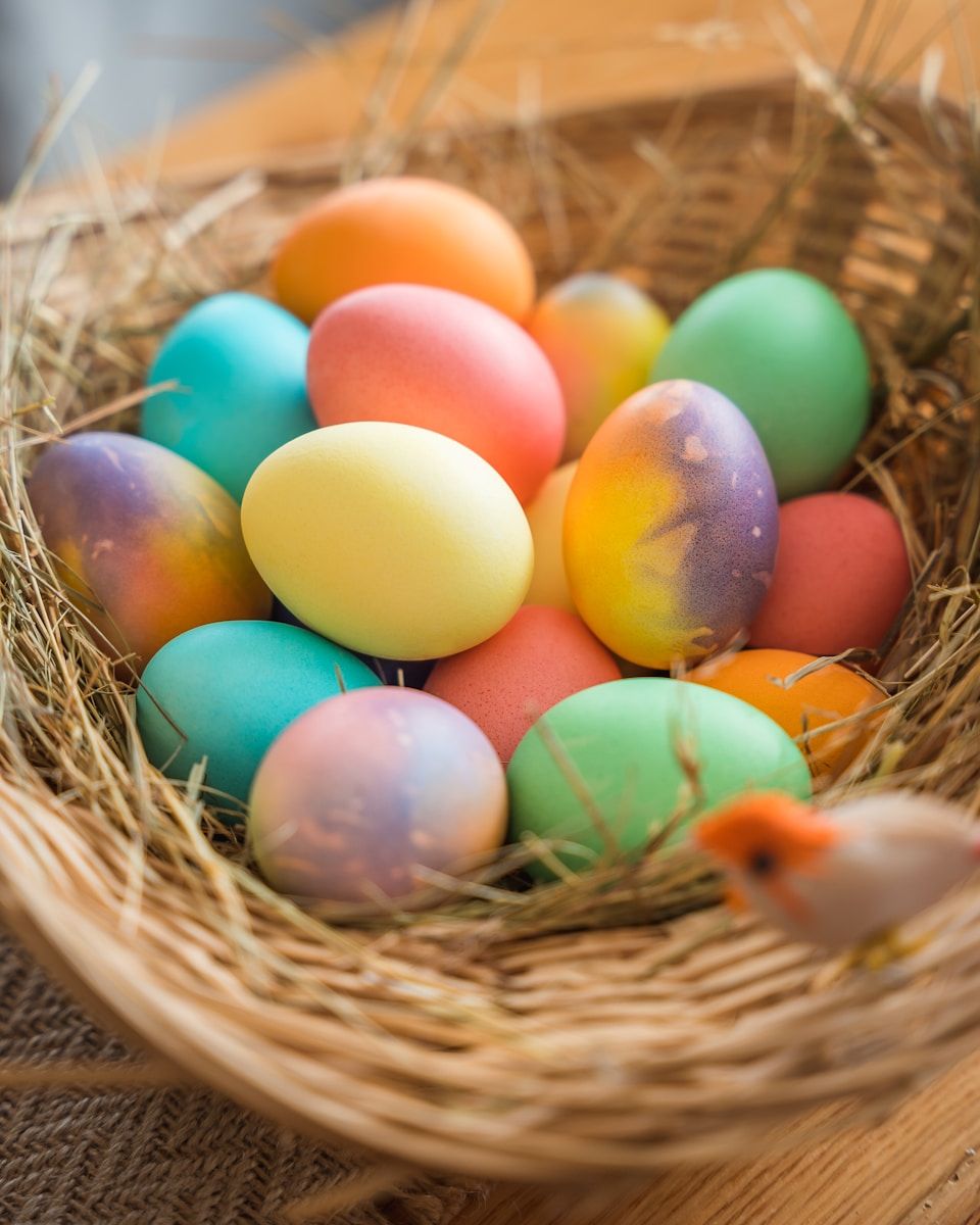 chasse aux oeufs