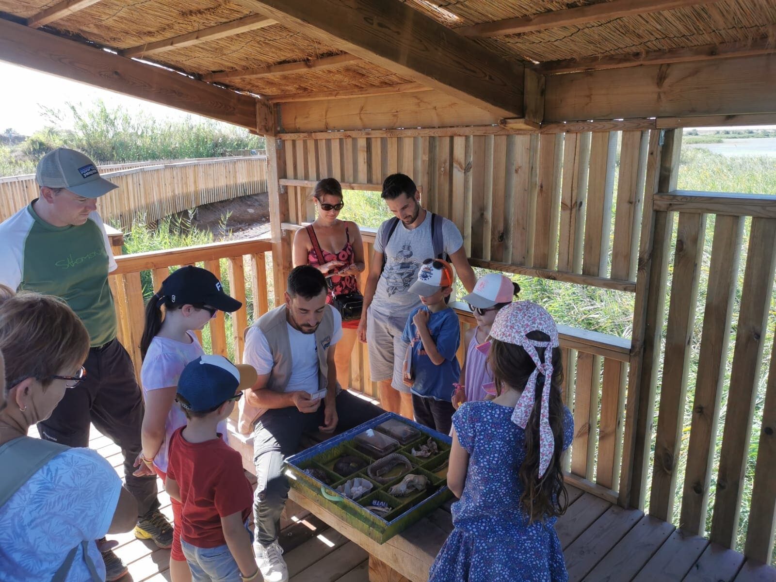 ADENA des enfants et des adultes dans la cabane d'observation