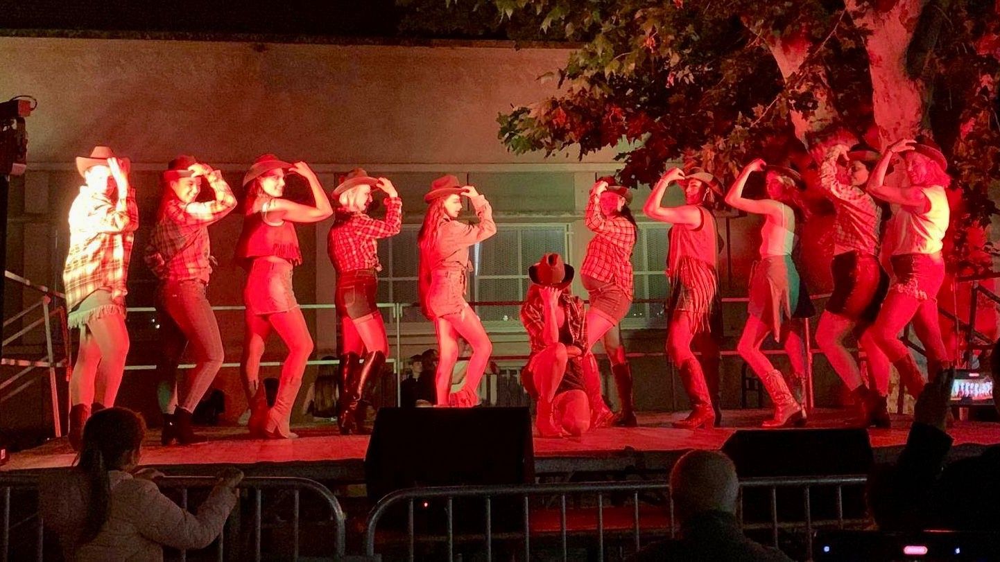 La MJC fait son festival