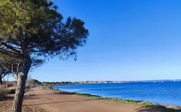 Promenade de la Belle scribote