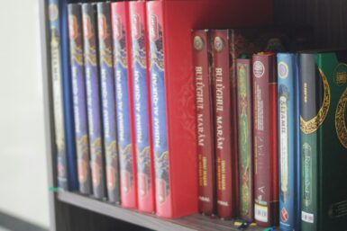 raconte-moi une histoire a book shelf filled with lots of books