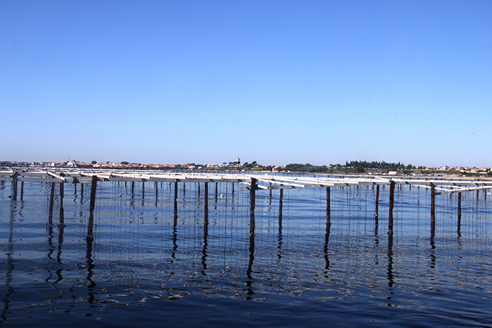 enquête publique étang de thau