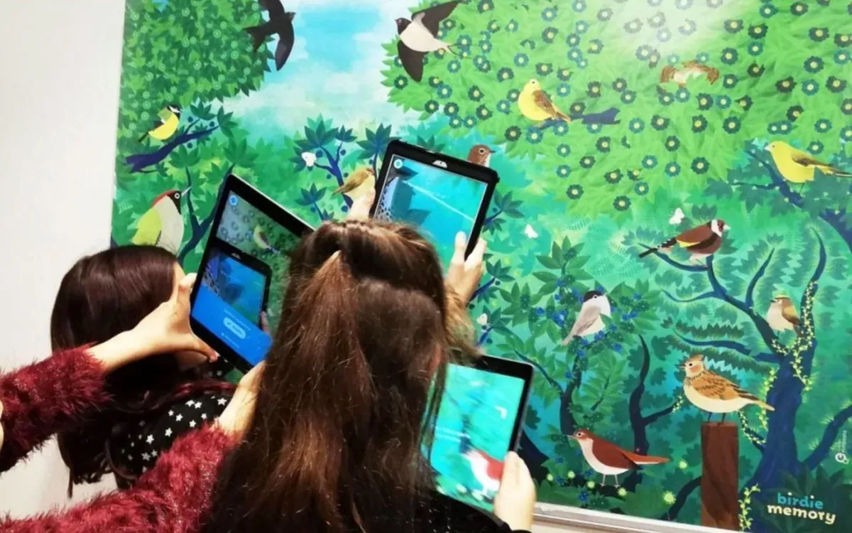 birdie memory visuel